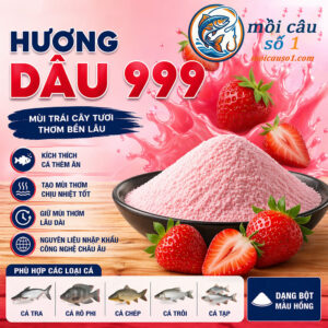 Hương Dâu 999 dùng cho mồi câu cá tra rô phi