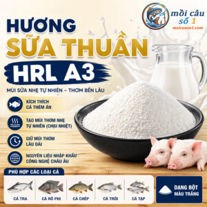 Hương sữa A3