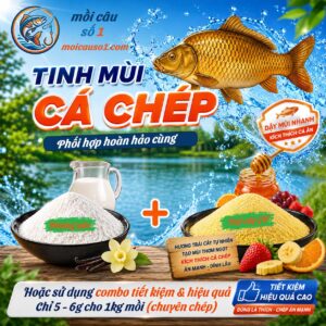 Tinh mùi dâu câu cá chép moicauso1