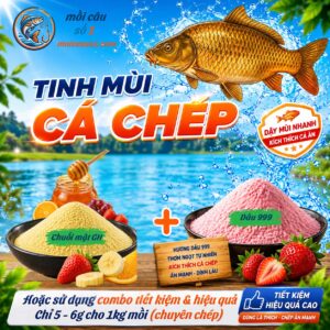 Tinh sữa vani câu cá chep mocauso1