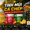 tinh mùi cá chép hiệu quả