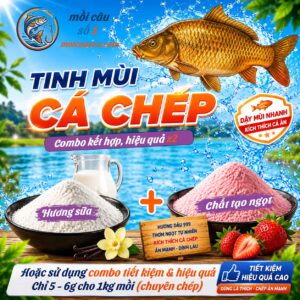 hương chuối câu cá chép moicauso1