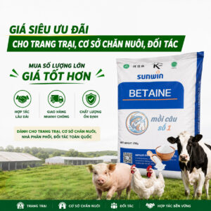 Betaine HCl giá tốt | moicauso1