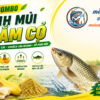 combo tinh mùi cá trắm cỏ mồi câu số 1