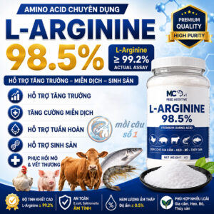 L-Arginine 98.5% | mồi câu số 1
